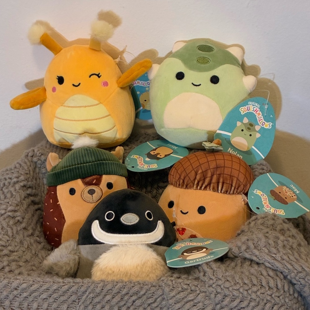 Bundle of 5 Squishmallows - 5" Size